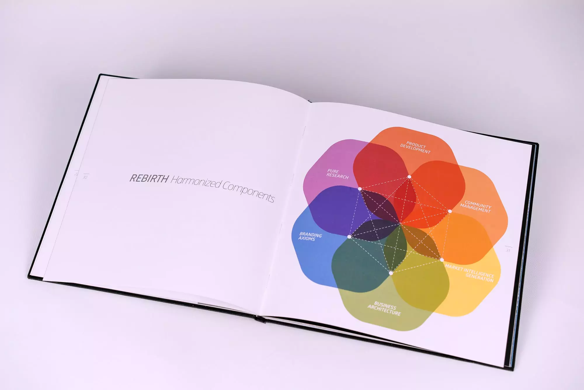 Book page containing rebirth harmonized components diagram