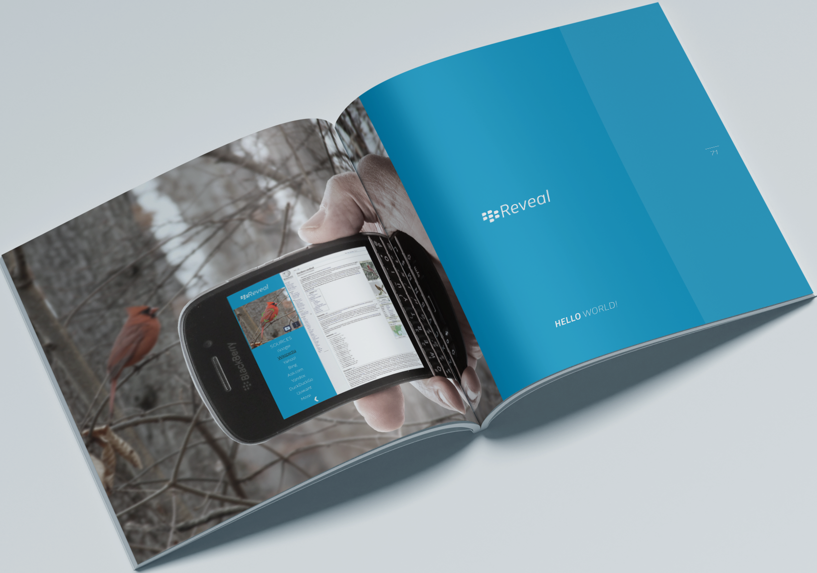 rikersiv book page with a picture of blackberry mobile phone